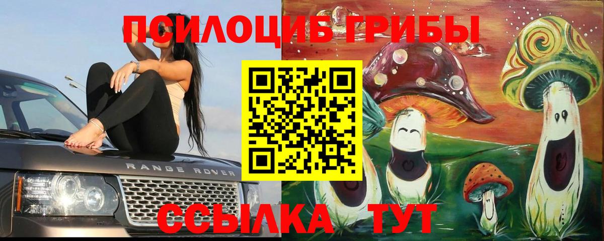 Псилоцибиновые грибы мицелий  Вход с VPN  Горячий Ключ 